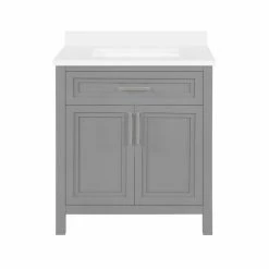 Ove Decors Laney 30 in. Single Sink Bathroom Vanity with Countertop, American Grey, 15VVA-LANE30-109EI